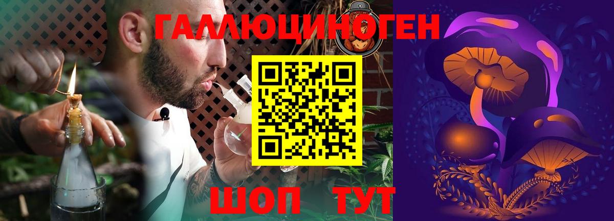 Всеволожск  Галлюциногенные грибы Cubensis  Вход с VPN  Галлюциногенные грибы мицелий 